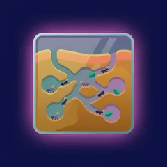 Ant Farm